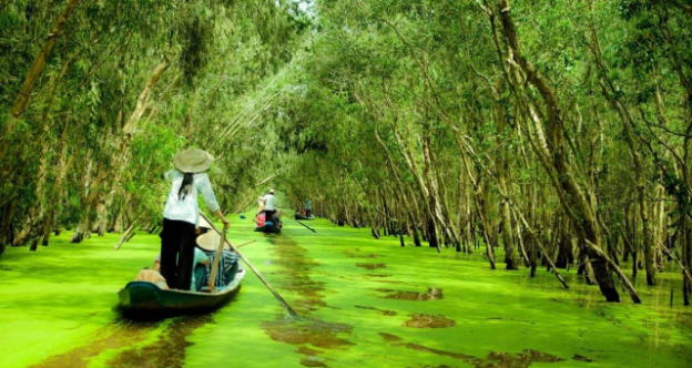 Objek Wisata Alam saat Liburan ke Vietnam